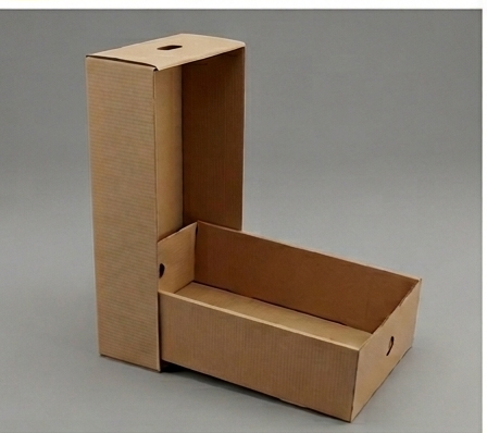 Cajas troqueladas